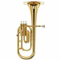 Alto Horn/Tenor Horn in Eb