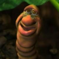 The Worm