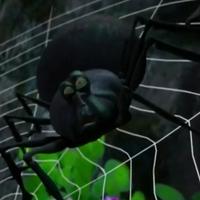 The Spider