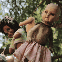 The Island of the Dolls