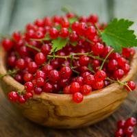 Redcurrant