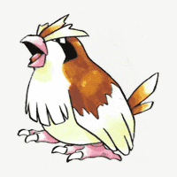 Pidgey