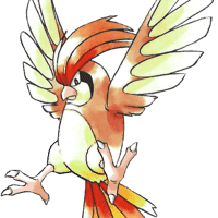 Pidgeotto