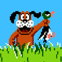 Duck Hunt