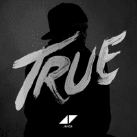 Avicii - Hey Brother