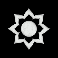 White Lotus