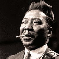 Muddy Waters