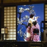 Madama Butterfly, Act 2: "Un bel dì vedremo"
