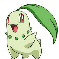 Chikorita