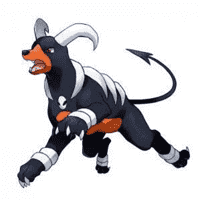 Houndoom