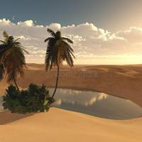Personality Oasis
