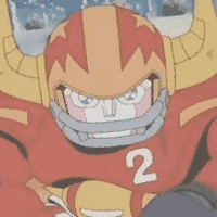 Bull Armor