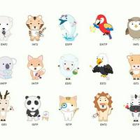 Typology