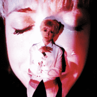 Julee Cruise