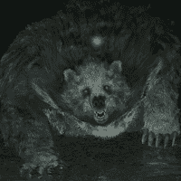 Runebear