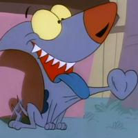 Sharkey The Shark Dog