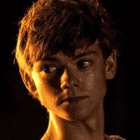 Newt