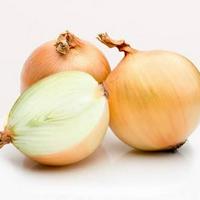 Onion