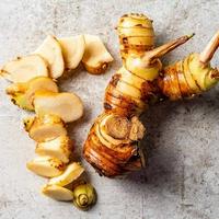 Galangal