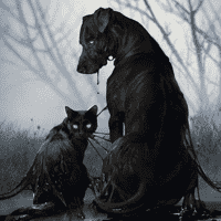 Black Dog and Cat
