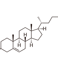 Cholesterol