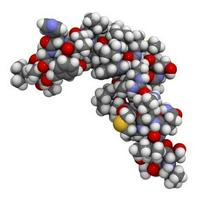 PTH (Parathormone)