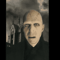 Syn Woldemorta
