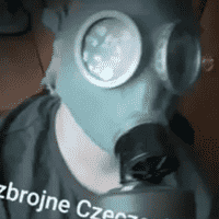 Siły Zbrojne Czeczenii