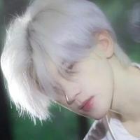 Shiro (loop)