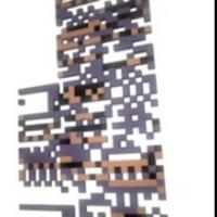 MissingNo.