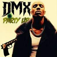 DMX - Party Up (Up In Here)