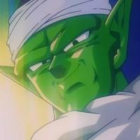 Piccolo Jr