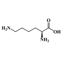 Lysine