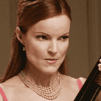 Bree Van De Kamp