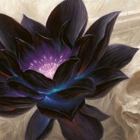 Black lotus