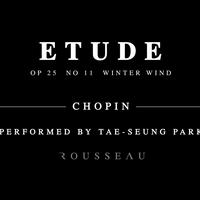Frédéric Chopin - Étude Op.25, No.11