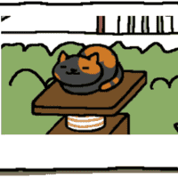 Bandit