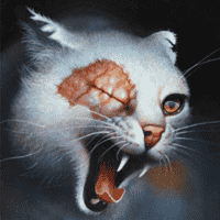 Brightheart