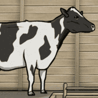 The Cow