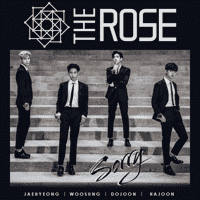 The Rose - Sorry