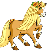 Honey Pie Pony