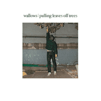 Wallows - Pulling Leaves Off Trees