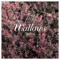 Wallows - Ground