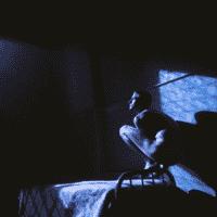Birdy (1984)