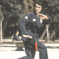 Fu-Shih Kenpo