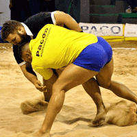 Canarian Wrestling