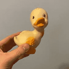 Rubber Duckie