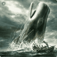 Whale