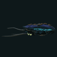 Reefback Leviathan