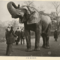 Jumbo (Dumbo)